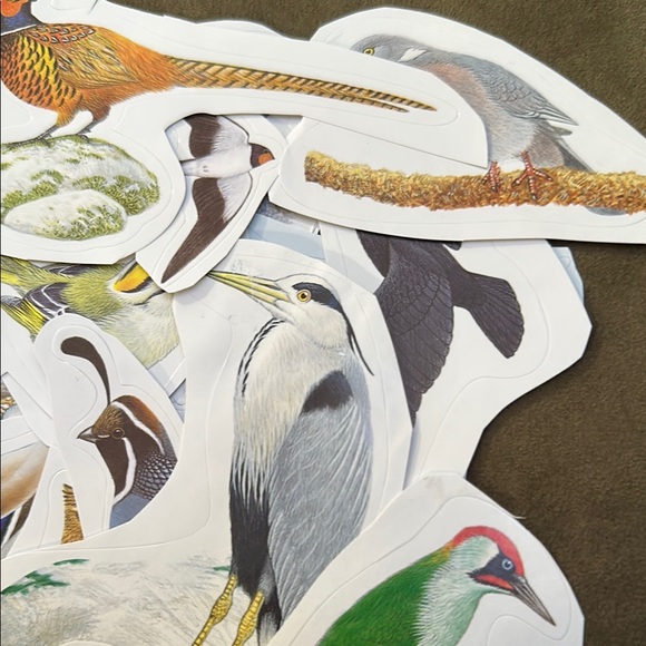 Colorful Bird Stickers Set - beautiful variety, multicolor - Picture 3 of 8